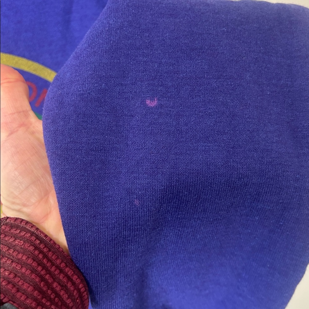 AVIATOR NATION Signature Logo Crew Neck Sweatshirt Purple Venice, CA Size Large - Picture 16 of 16